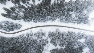 Bird eye’s view!, by Kimon Maritz